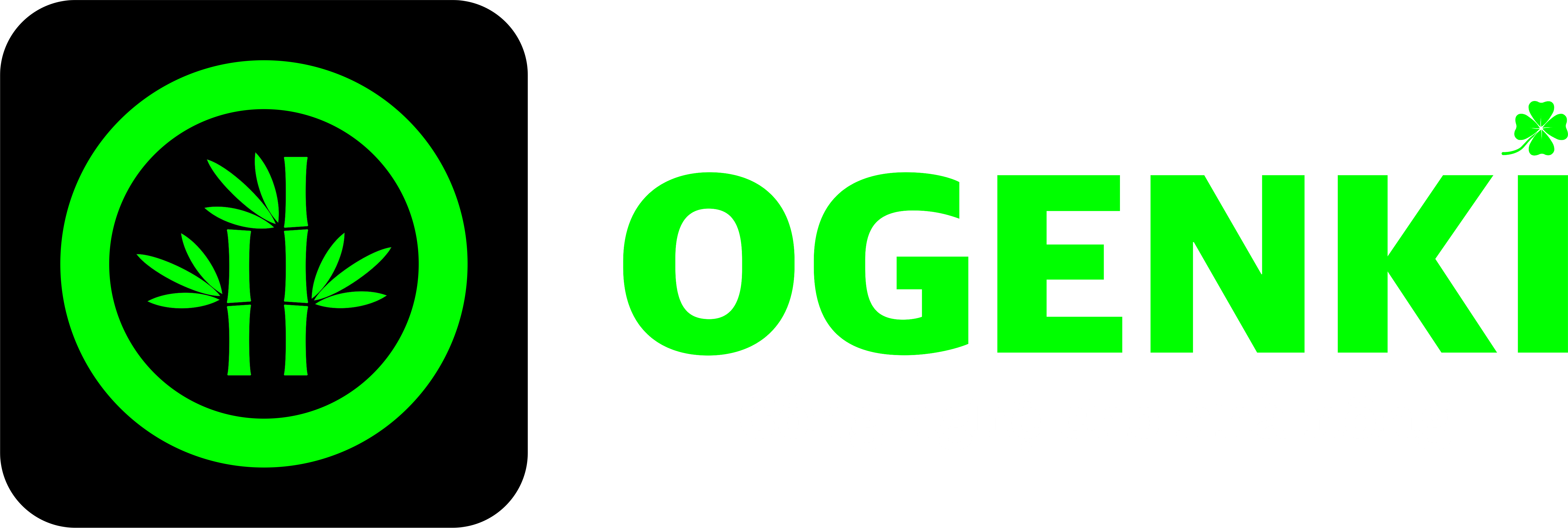 Công ty TNHH Ogenki